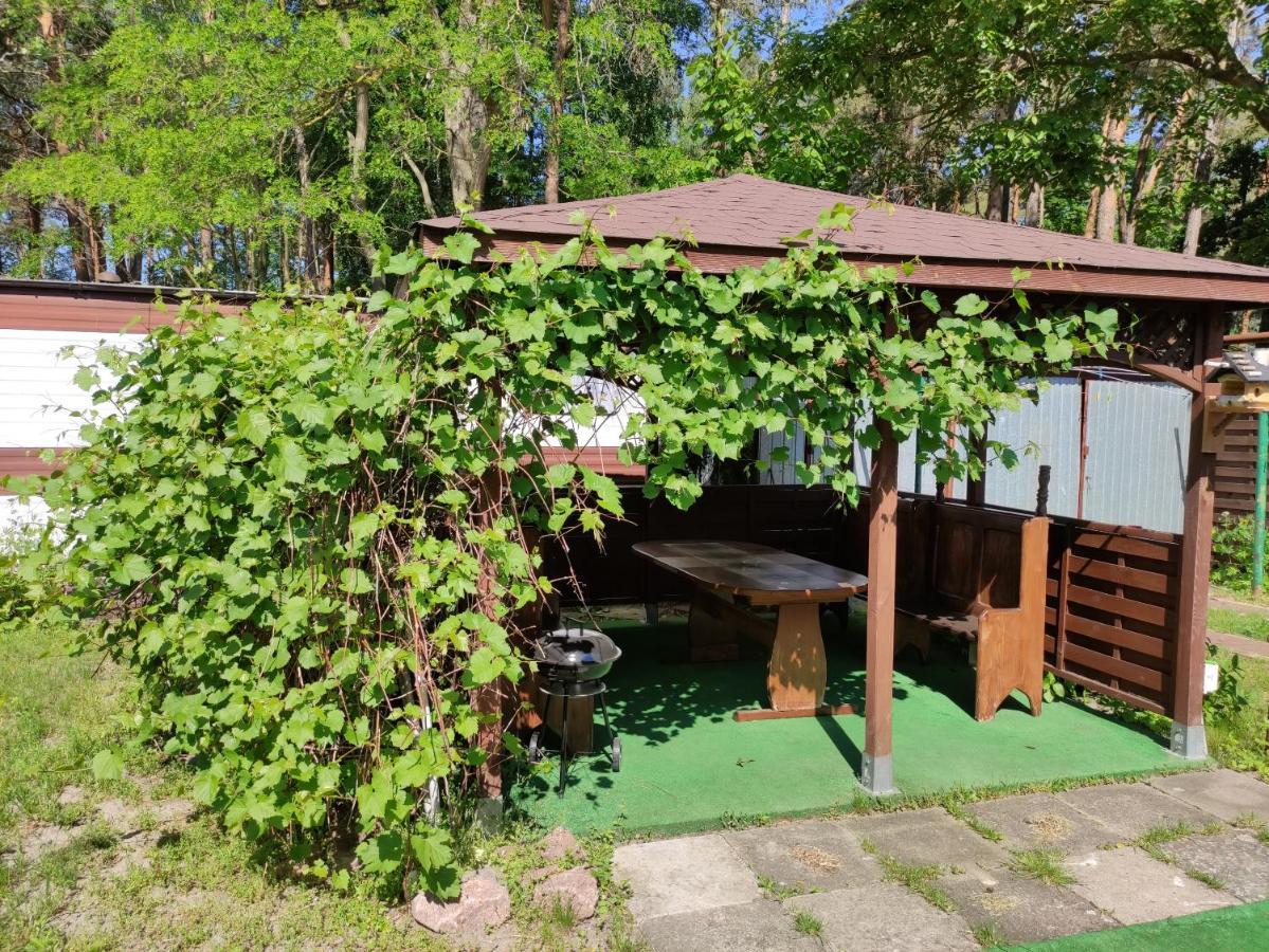 Villa Joanna Miedzyzdroje Εξωτερικό φωτογραφία